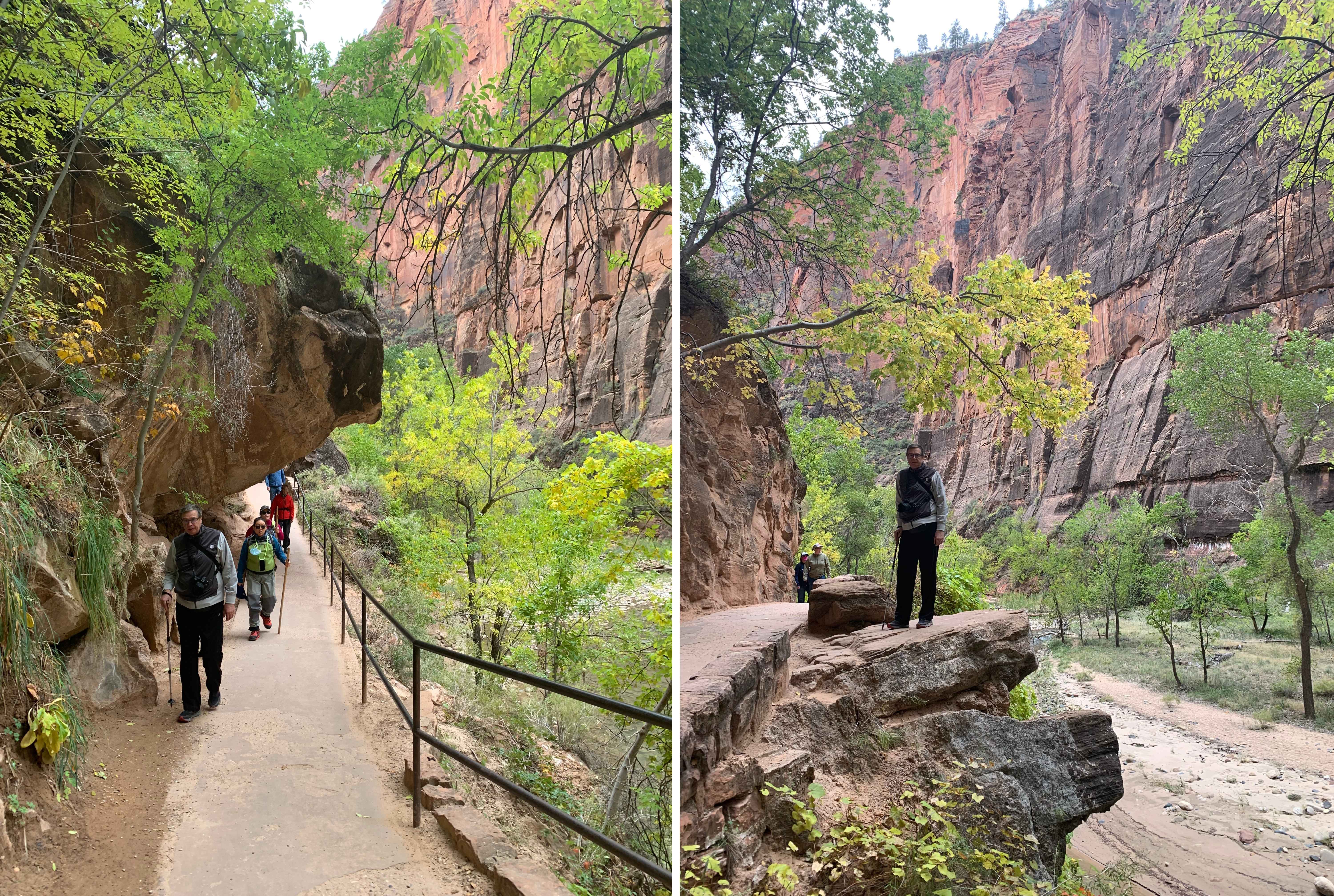 Zion NP